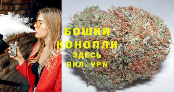 бошки Няндома
