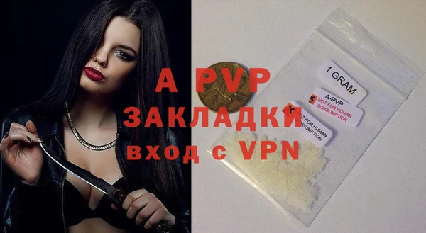 бошки Няндома