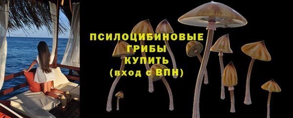 гидропоника Володарск