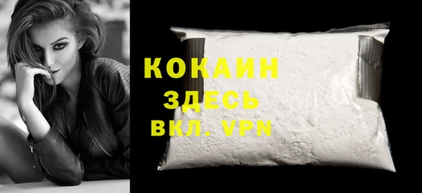 бошки Няндома