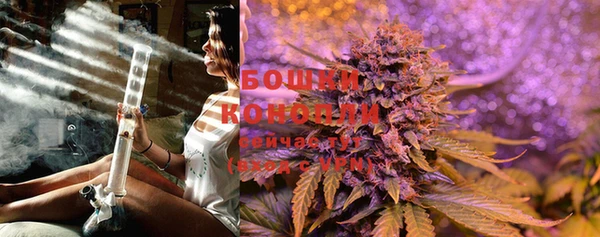 бошки Няндома