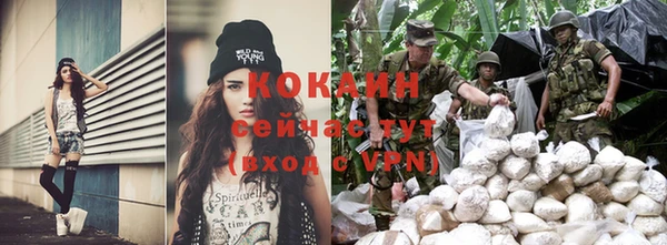 прущие крисы Новокубанск