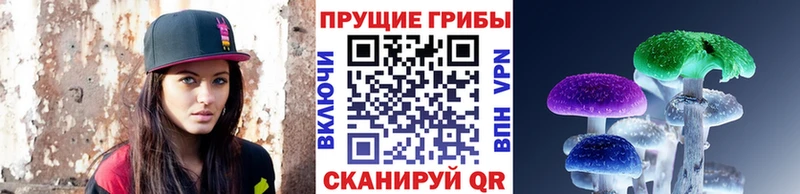 mega ссылки  Магадан  Галлюциногенные грибы мицелий 