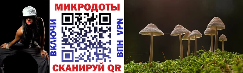 Галлюциногенные грибы Cubensis Магадан