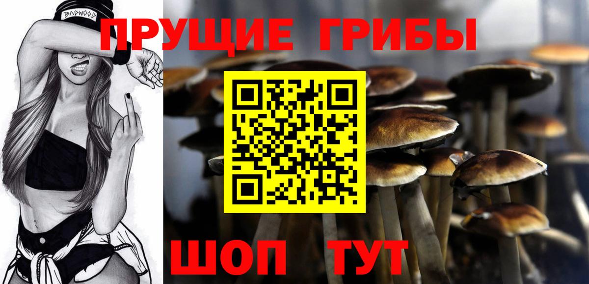 Псилоцибиновые грибы прущие грибы  Галлюциногенные грибы Magic Shrooms  купить закладку  Магадан  Вход с VPN 