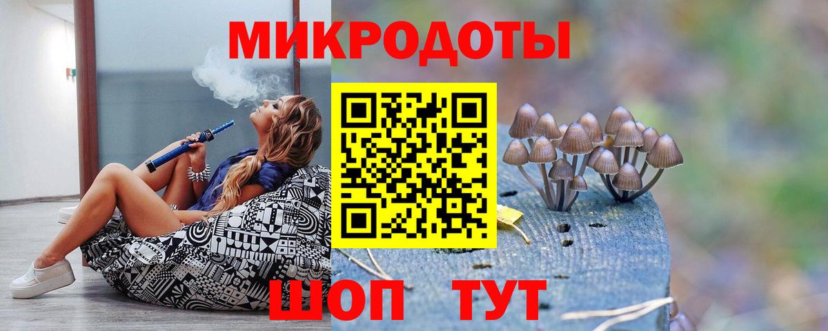 Галлюциногенные грибы мухоморы Магадан