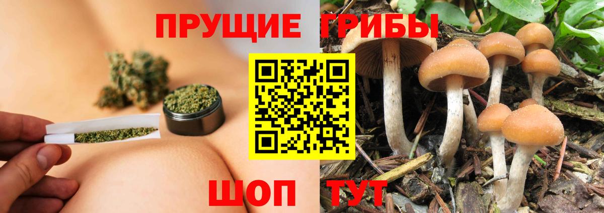 Галлюциногенные грибы Magic Shrooms Магадан