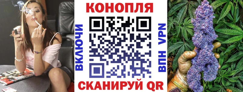 Канабис THC 21%  как найти закладки  Магадан 
